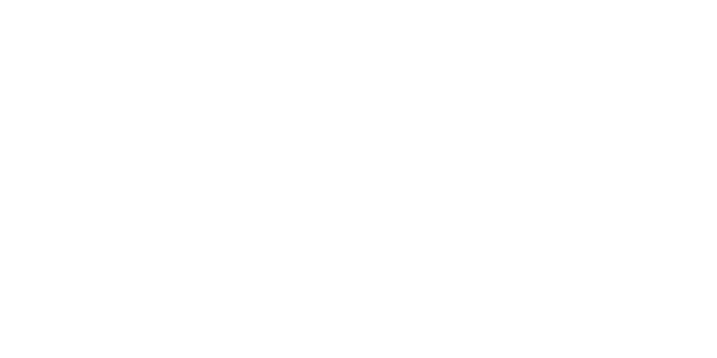 ASPA Conference Vladivostok